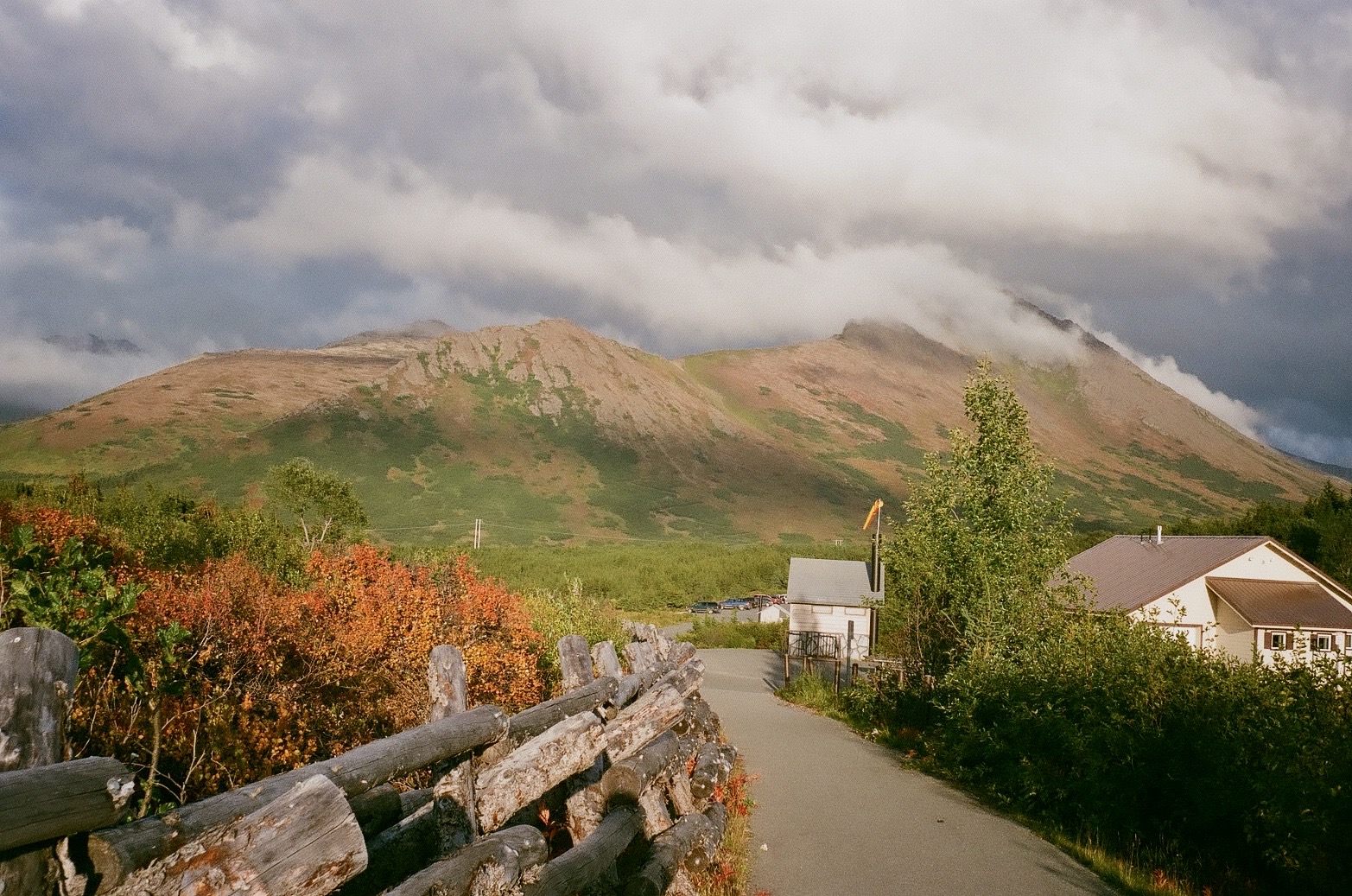 film photo of juneau mt