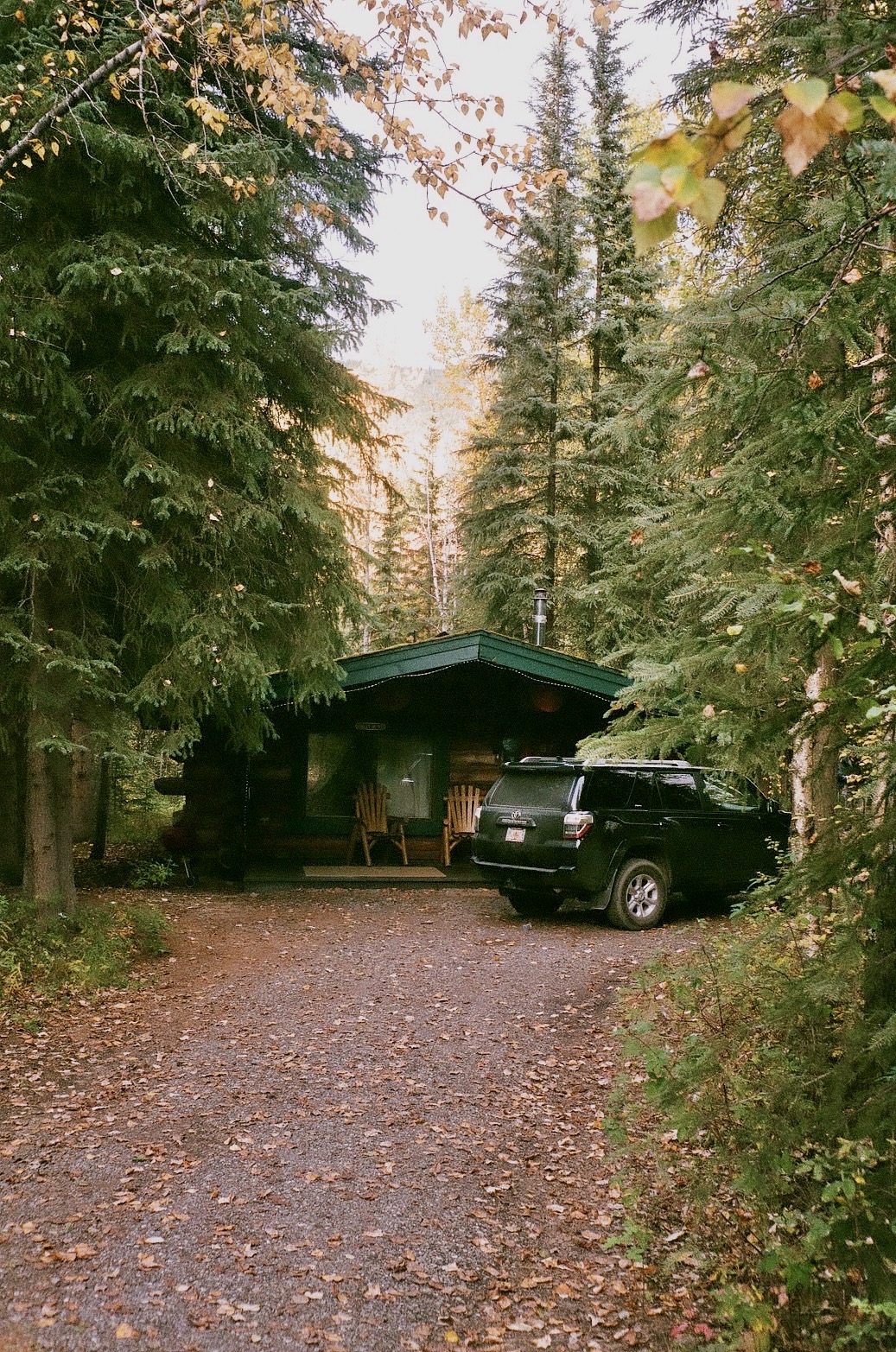 film photo of chena hot spring cabin