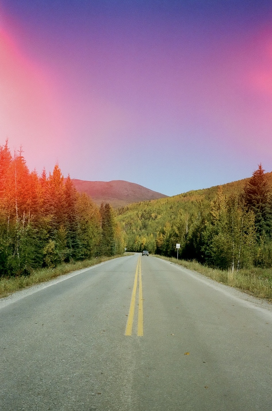 film photo of chena hot springs road