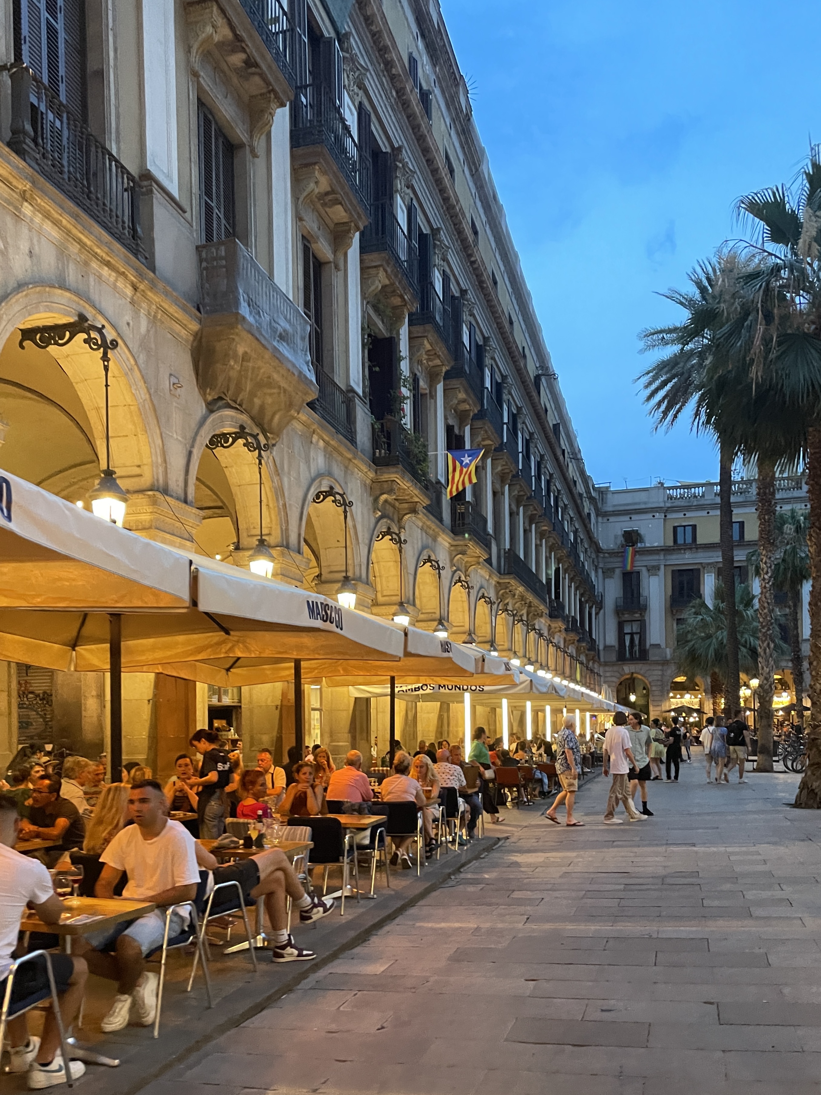 Plaça Reial at night