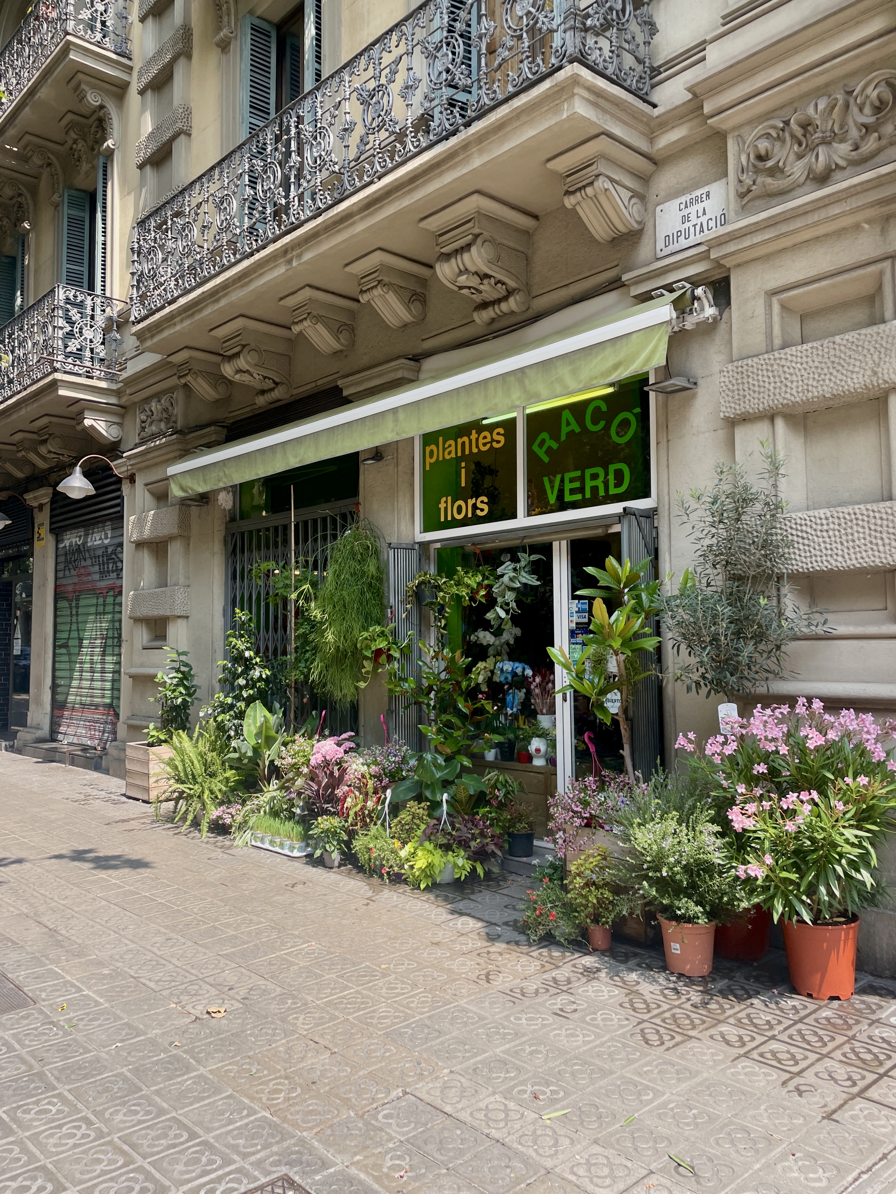 plant shop