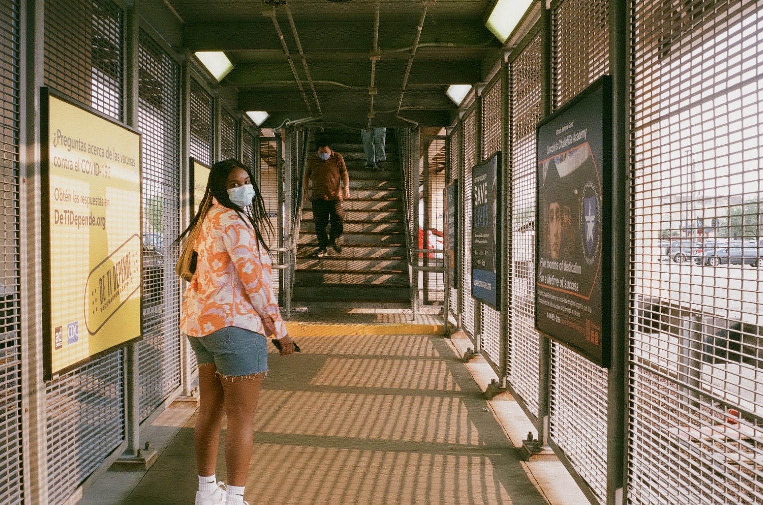 chicago botanical garden