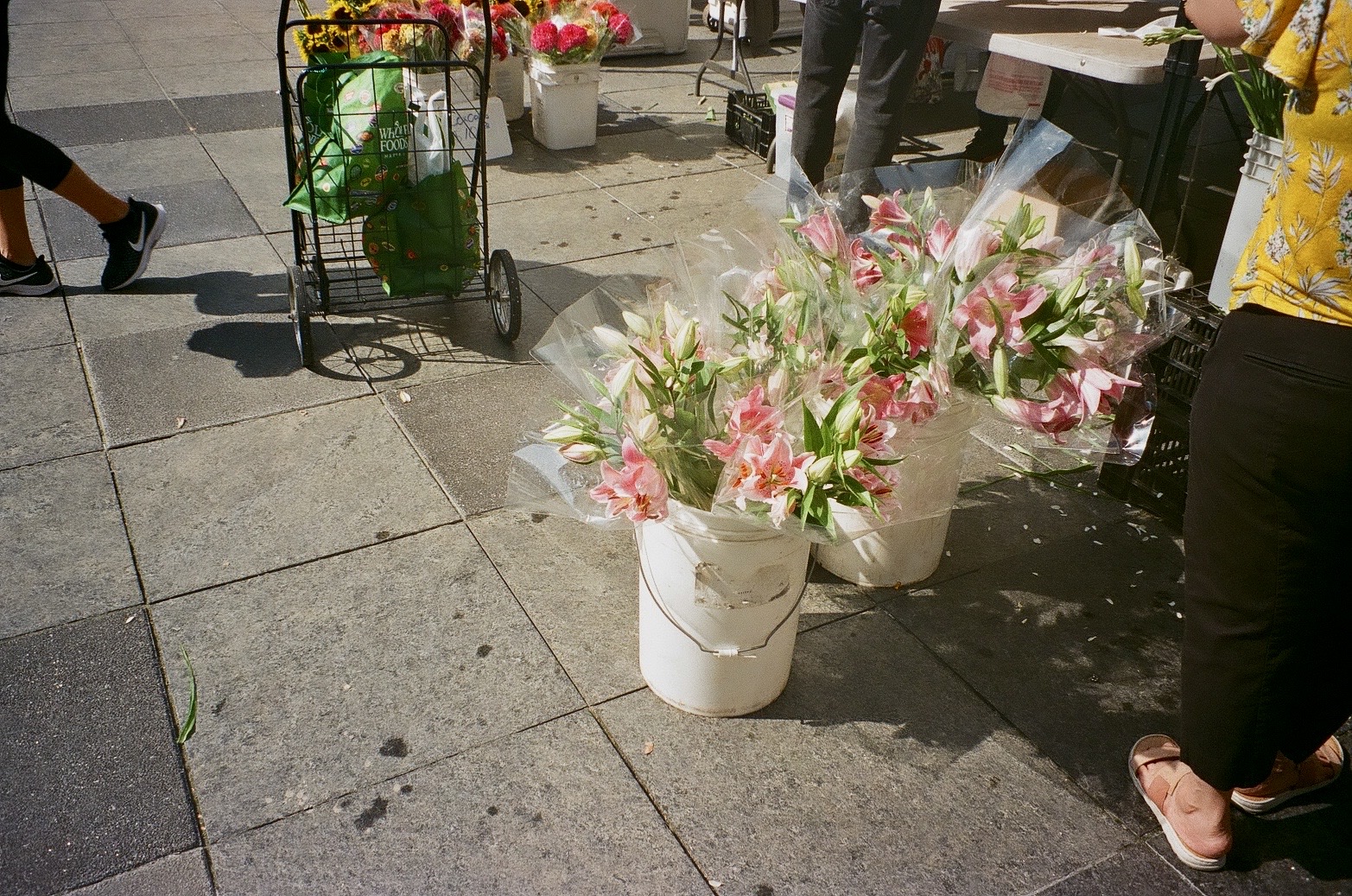 dt chicago farmers market