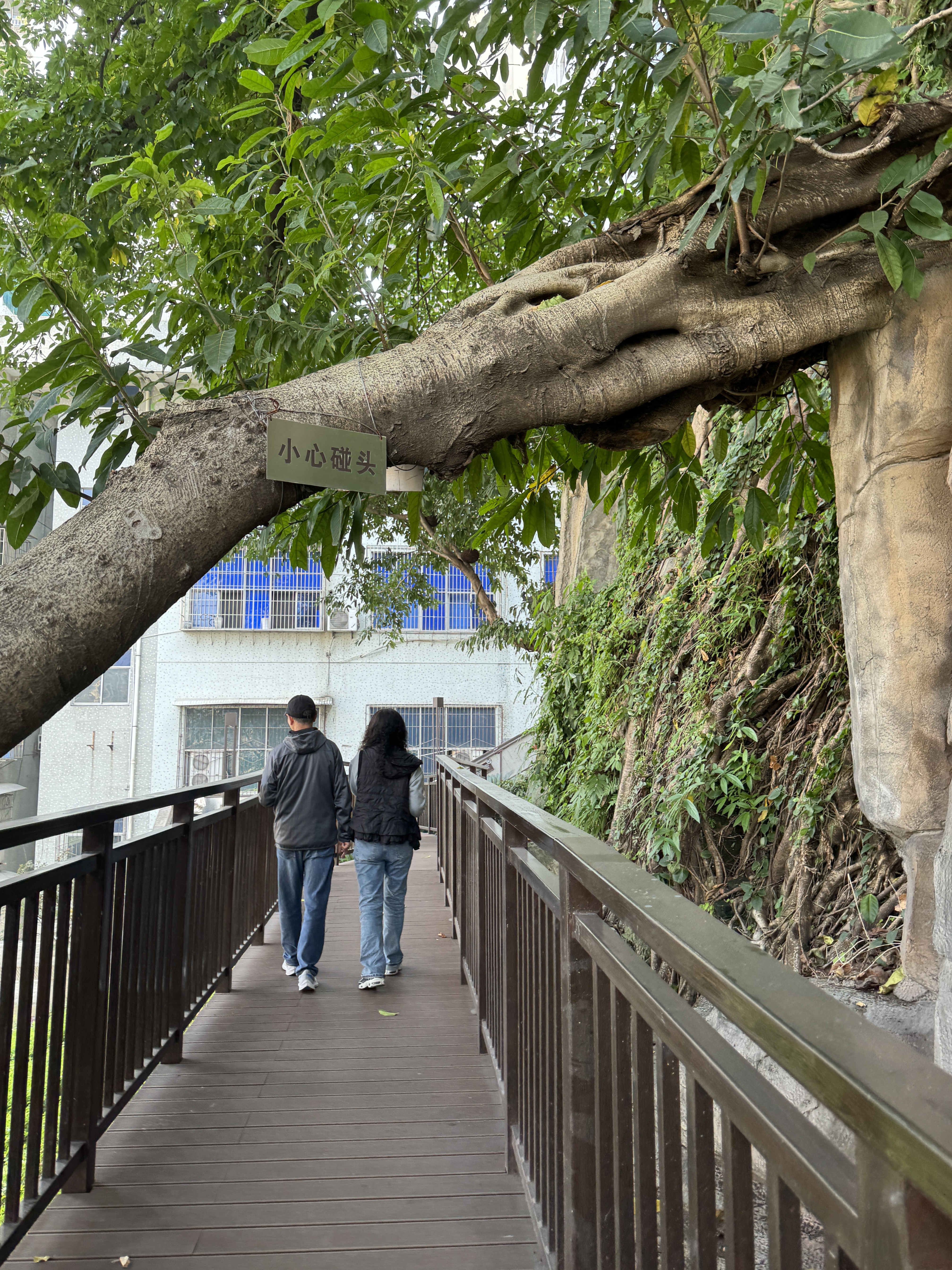 mountainside walkway