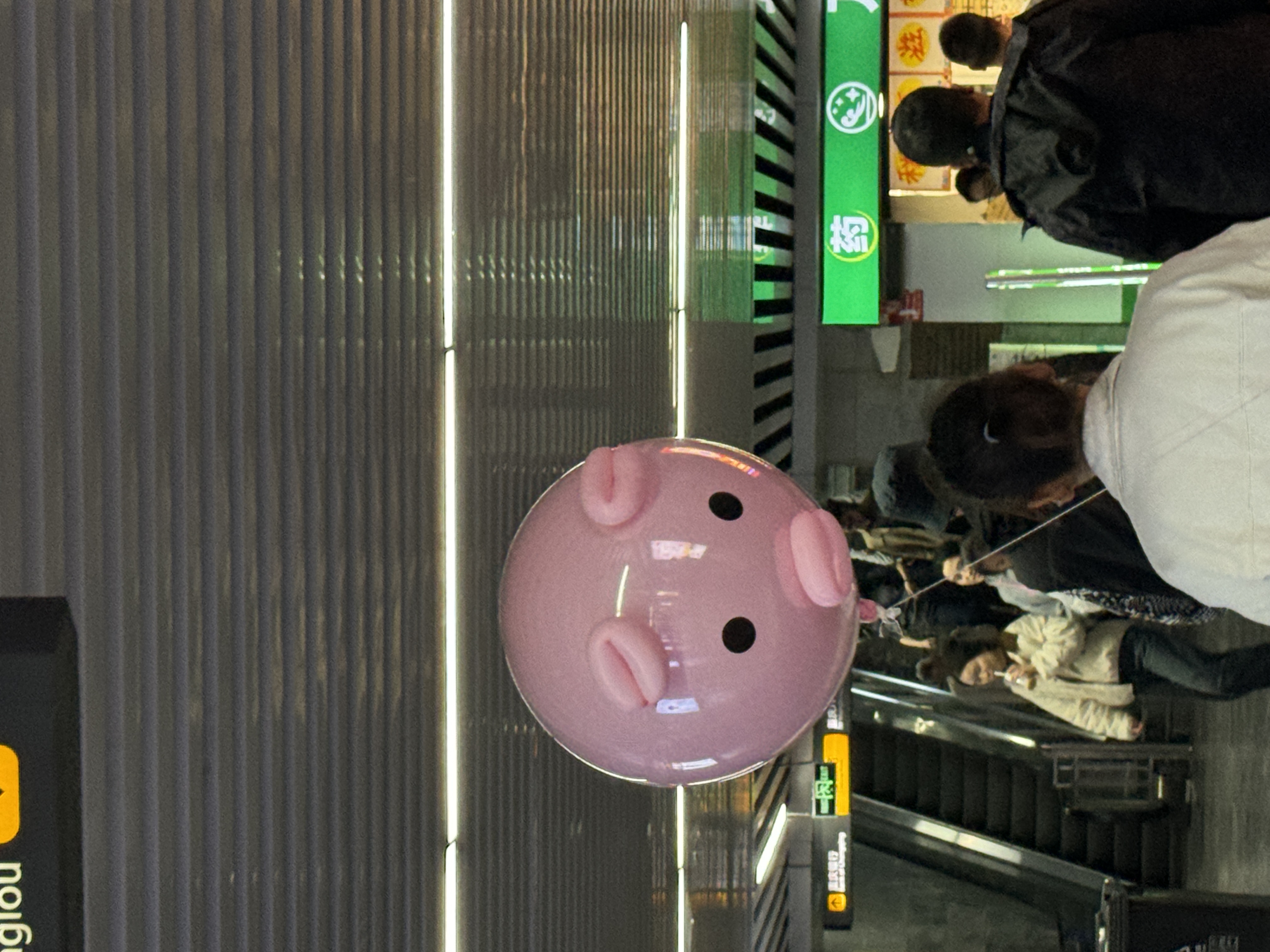 pig balloon