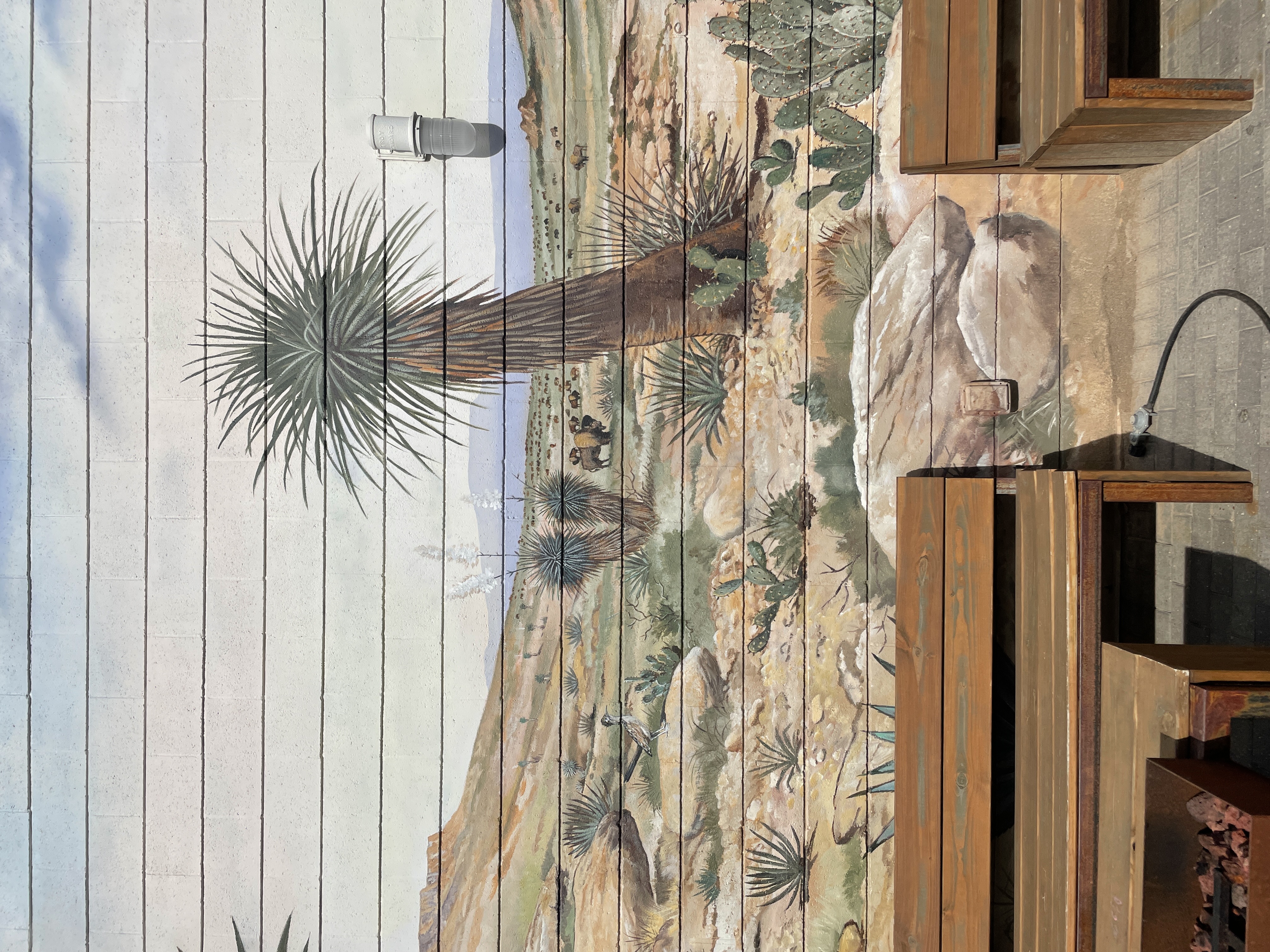 desert mural