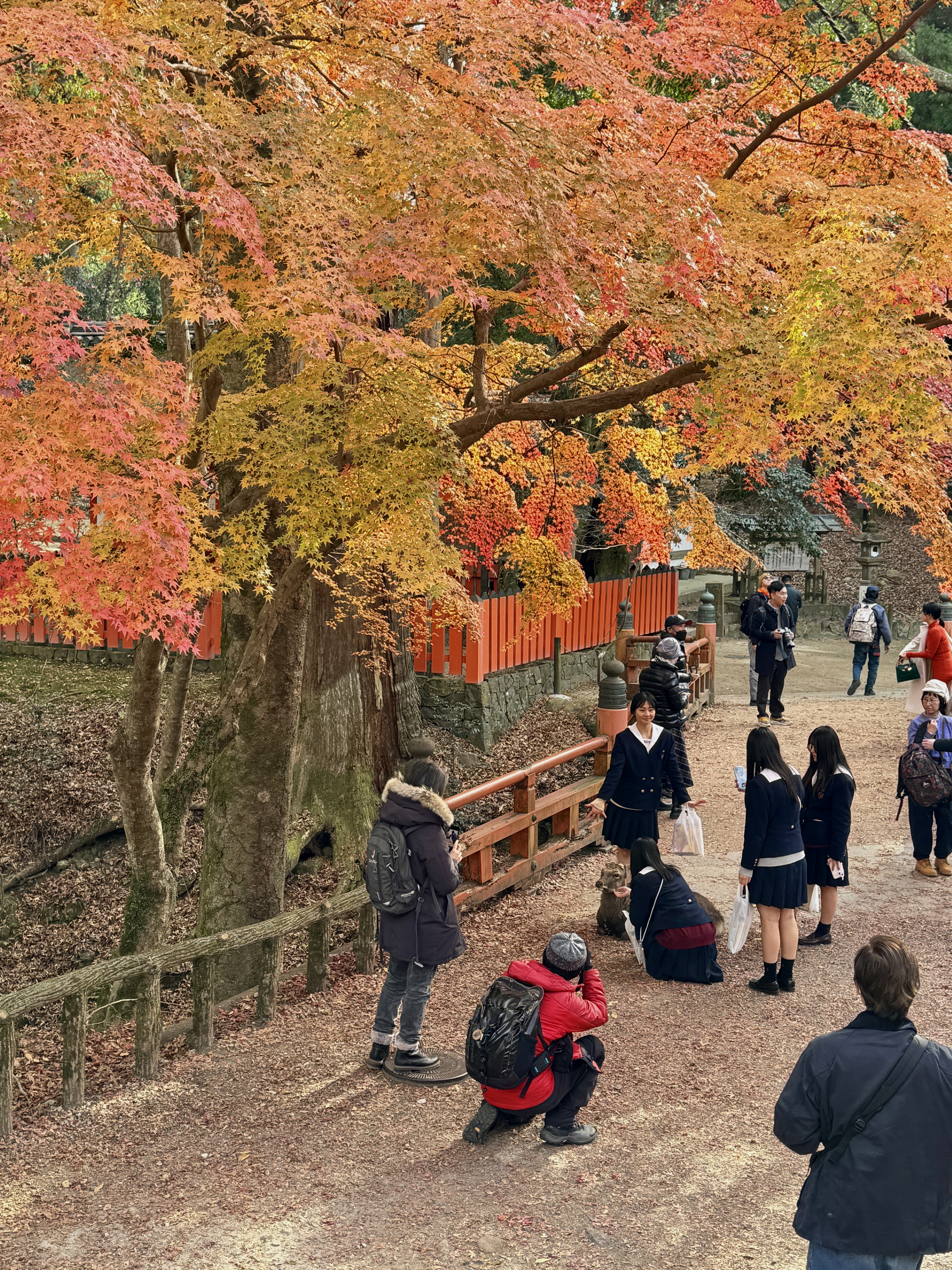 people taking photos on a bridge
