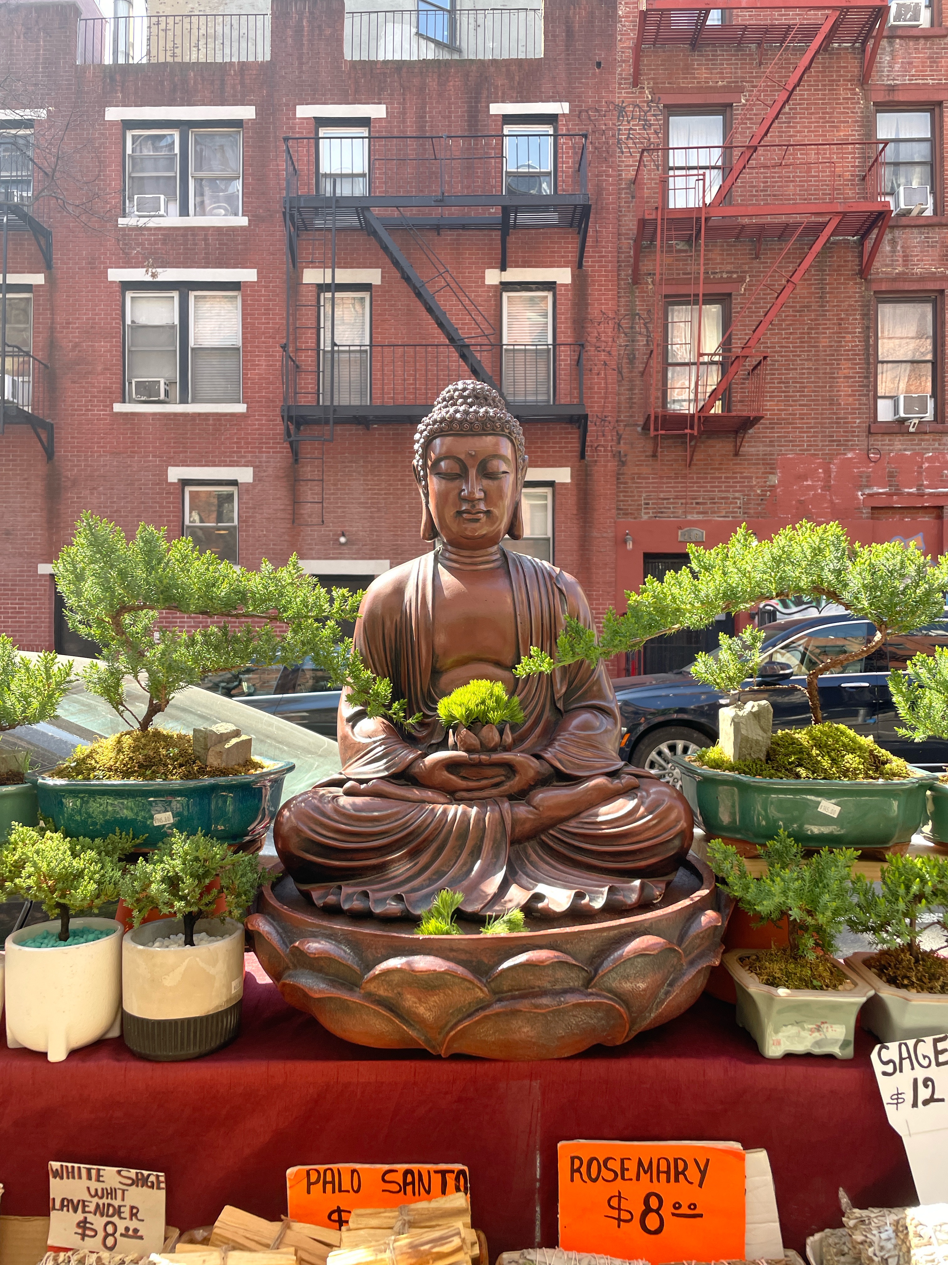 manhattan plant shop buddha