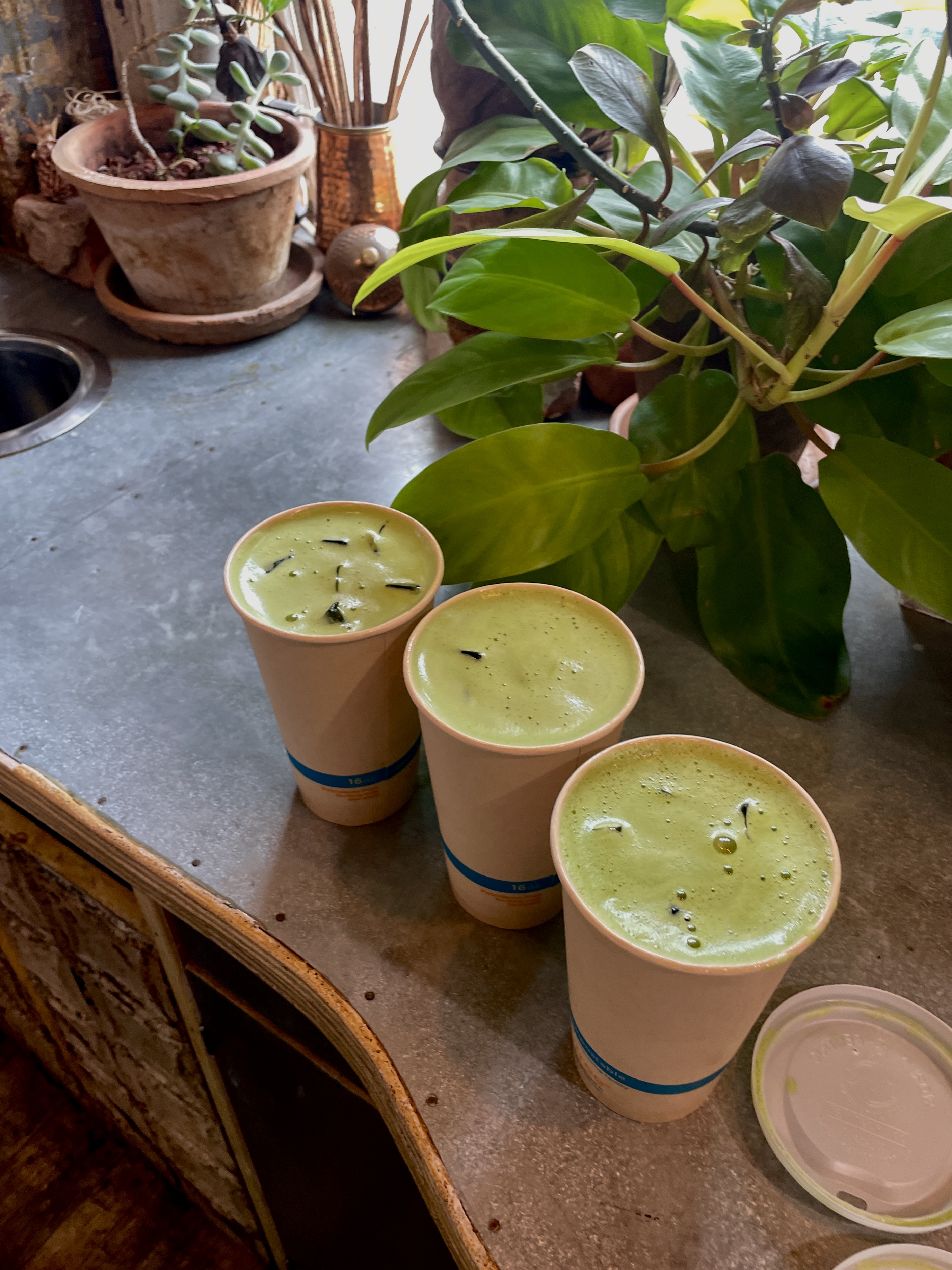 3 expensive matcha lattes PPL