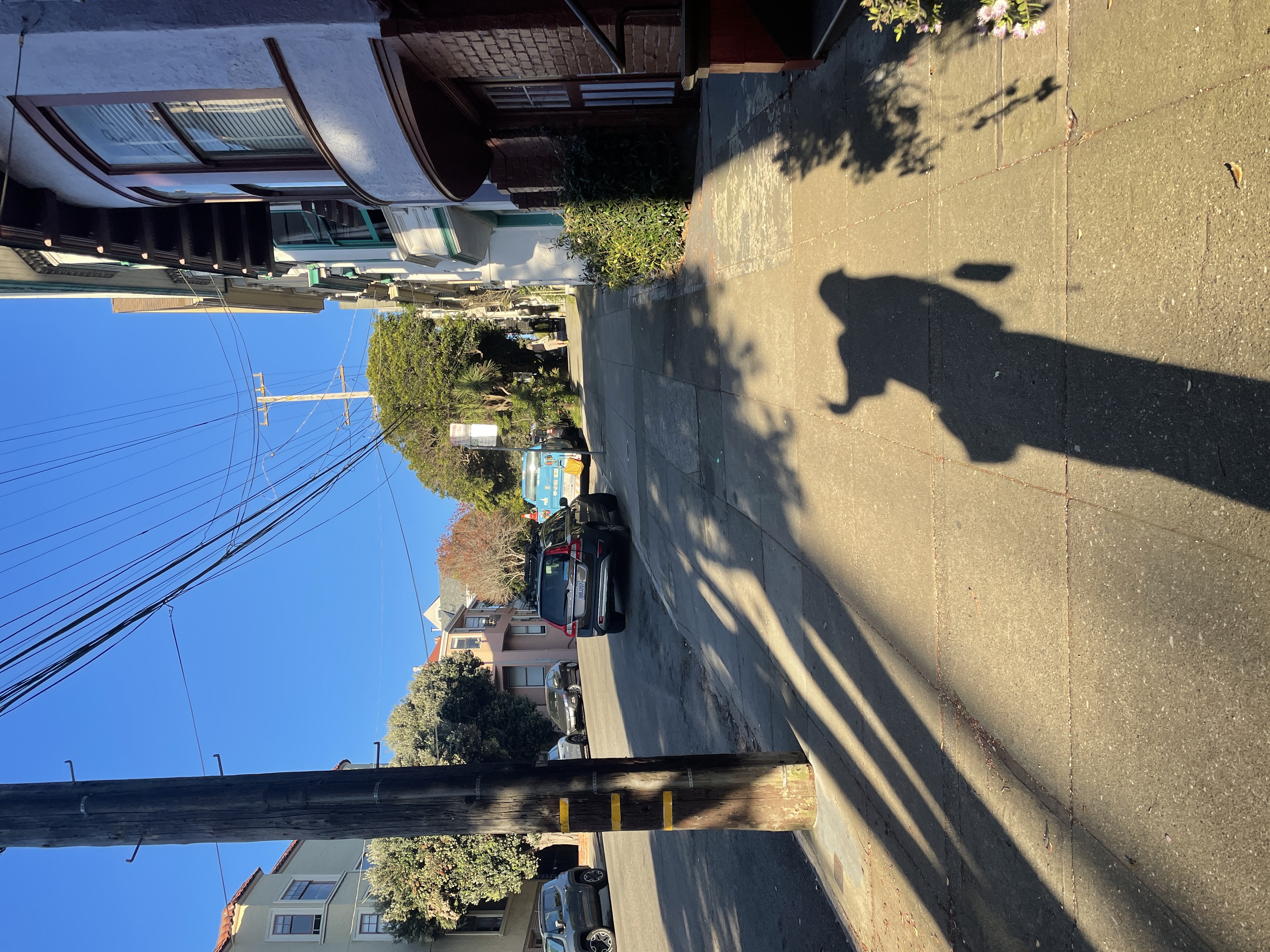 another shadow selfie