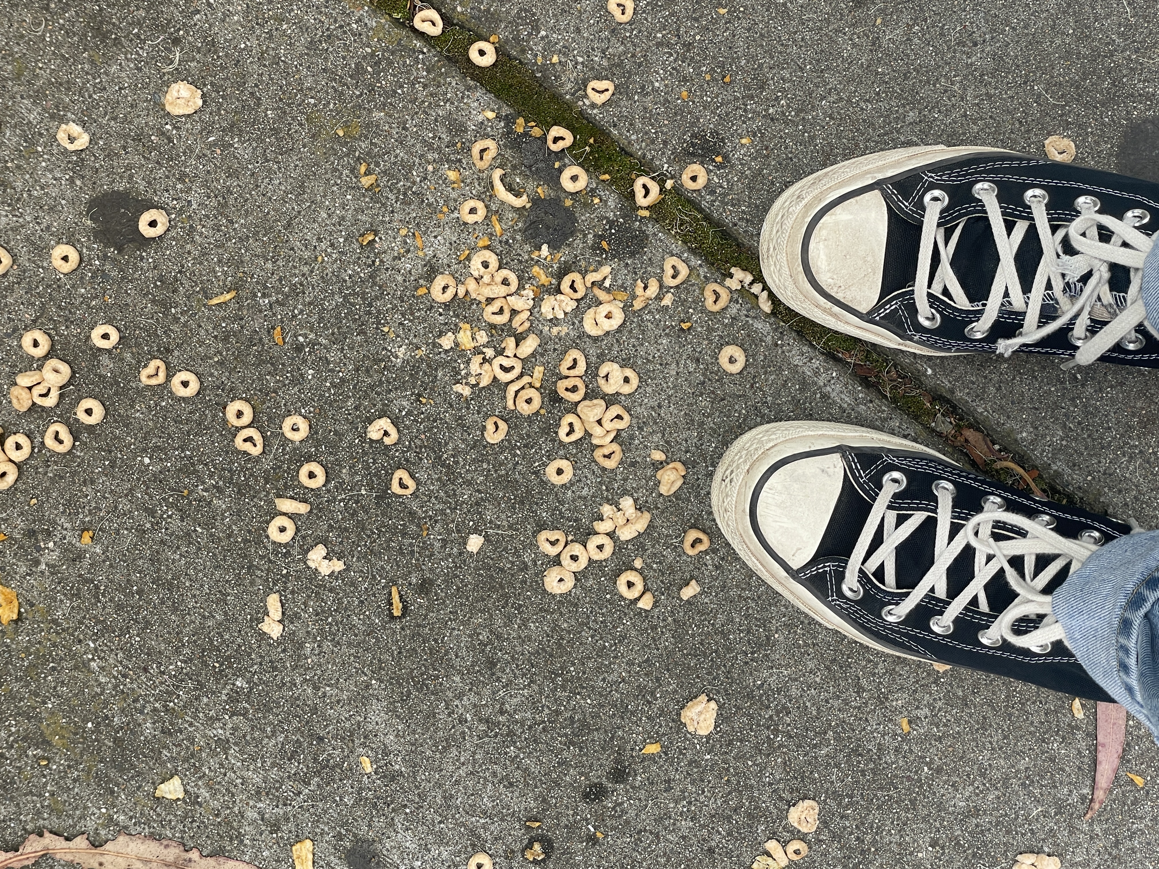 chuck 70s & cheerios on the ground