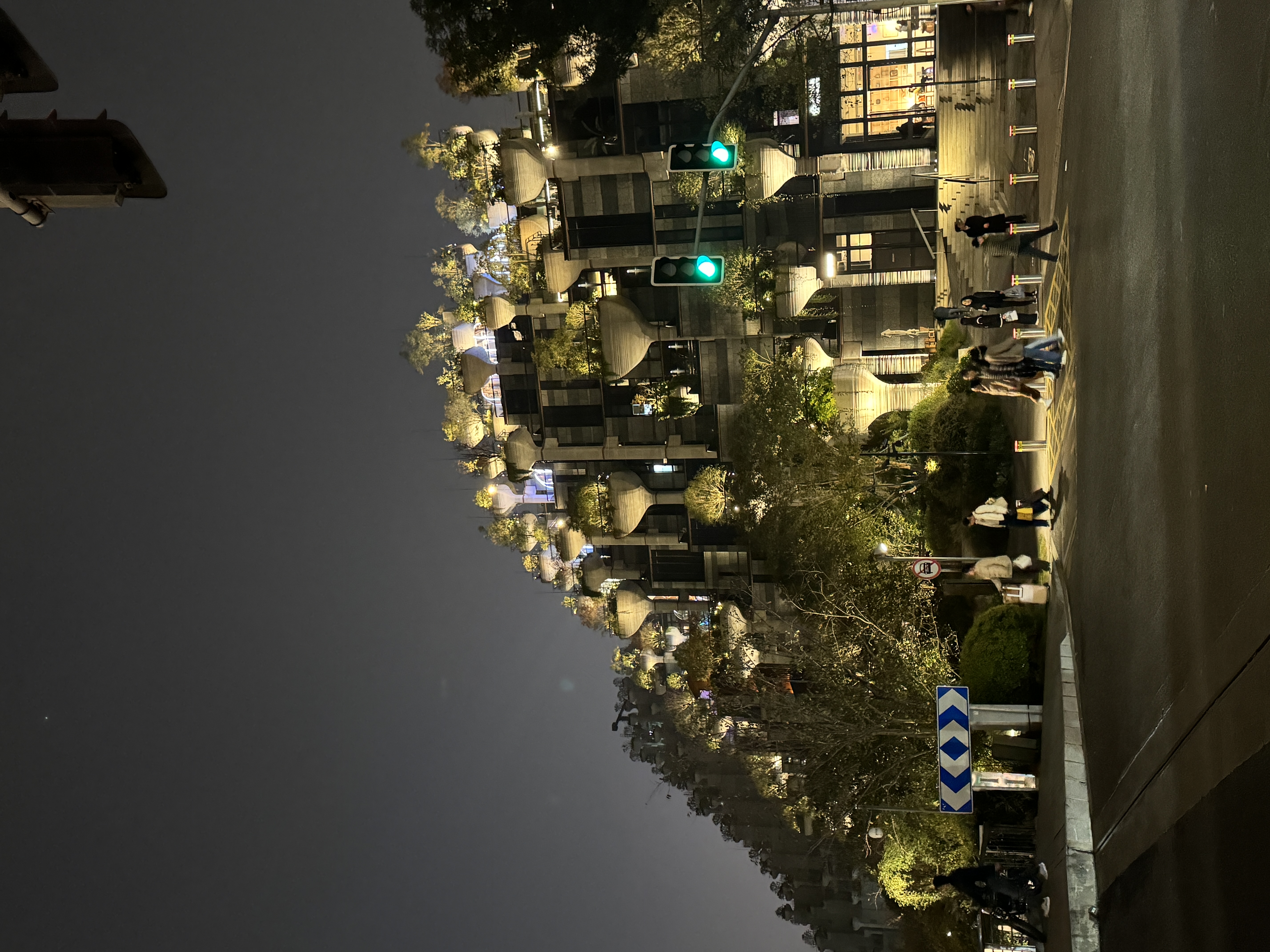 Thousand Tree Mall at night