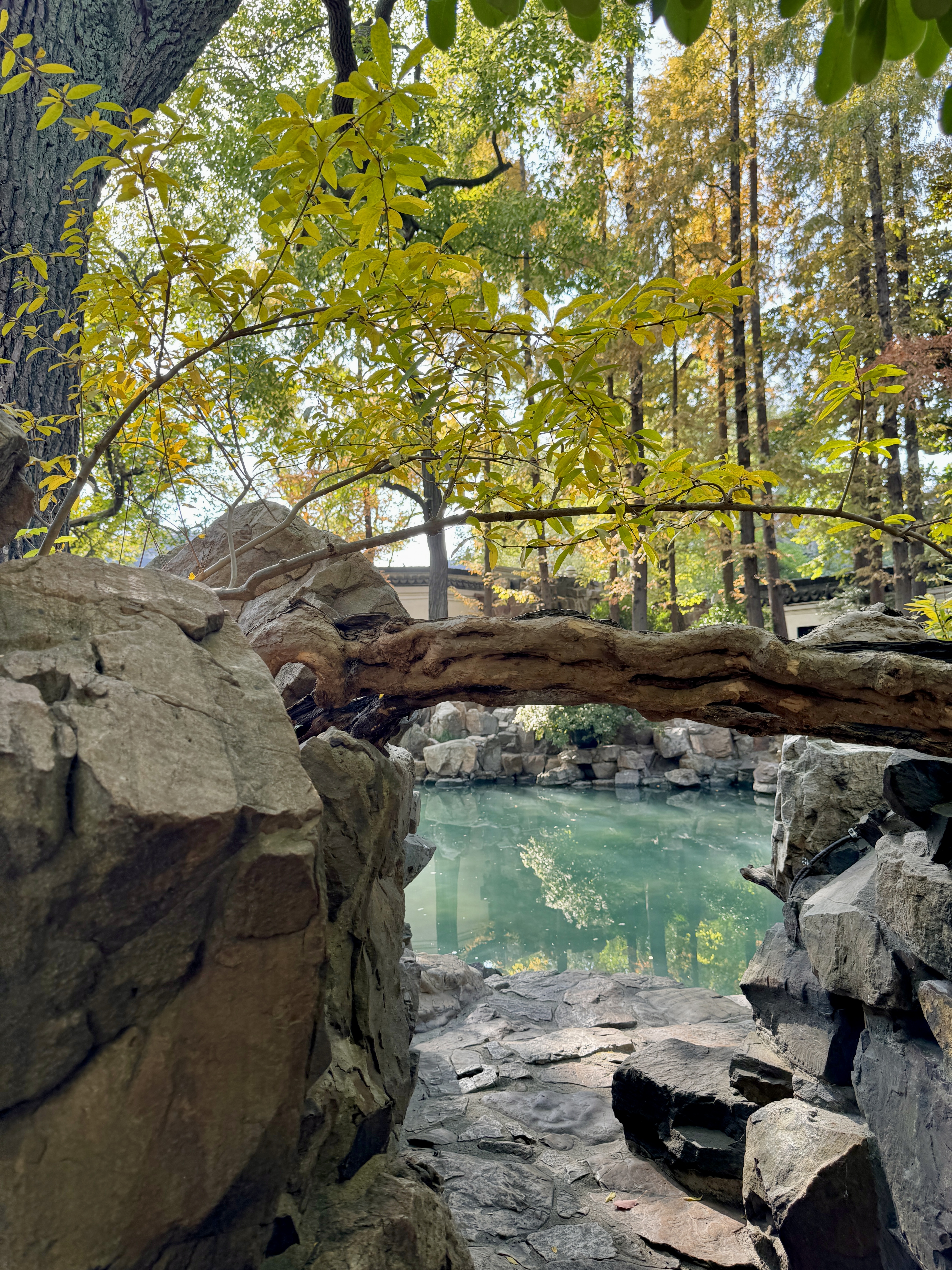 Thousand Tree Mall at night