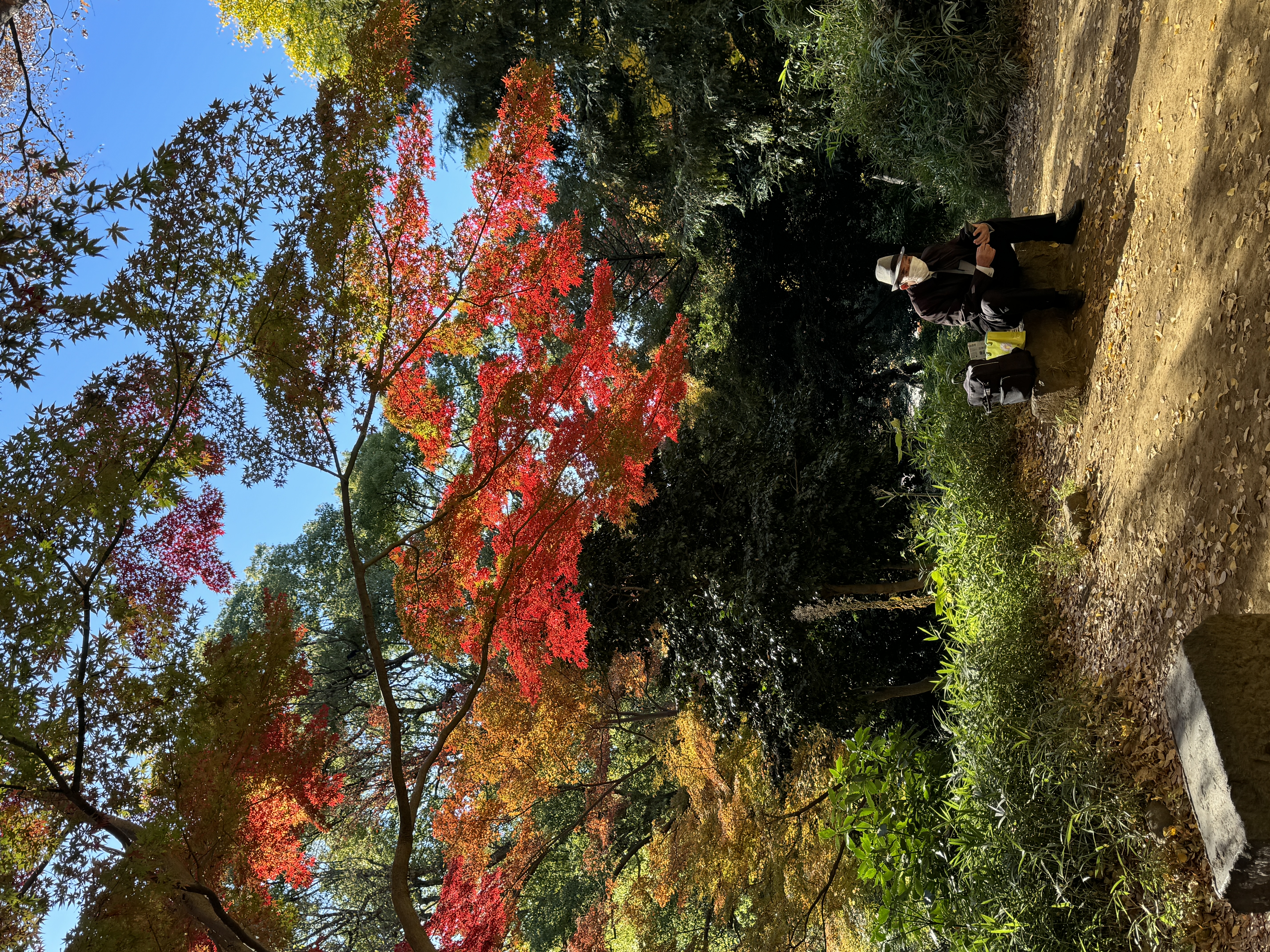 sitting man at Ueno Park